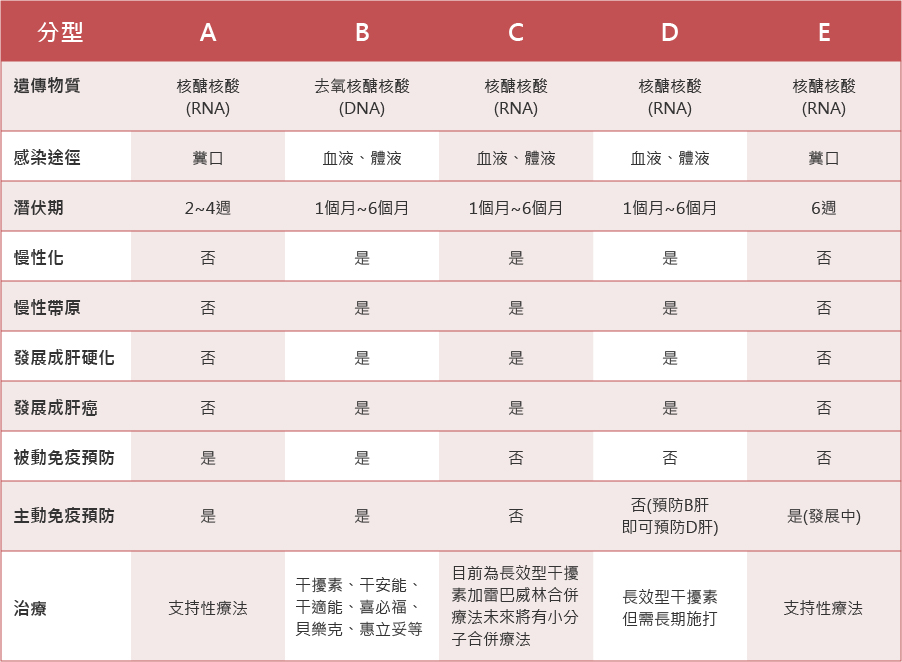 肝炎 a 型